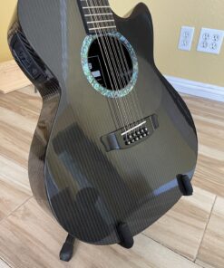 Rainsong Ws3000 12 string