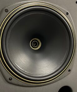 Pair 2x Tannoy DMT System 12 Studio Monitors Ronnie Lane Studios