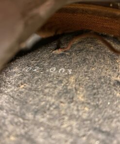 Pair 2x Vintage 1967 Celestion G12 Alnico T1088 Guitar Speaker