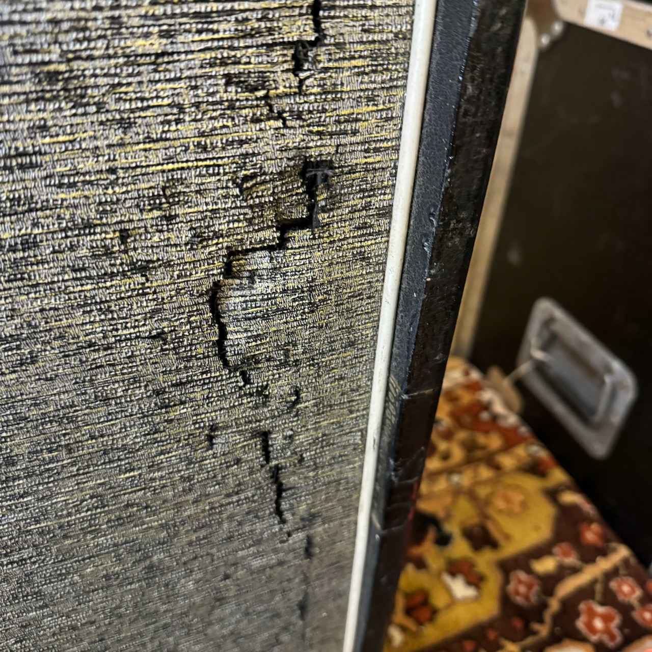 Vintage 1964 Selmer Truvoice Thunderbird Twin Thirty Amplifier Combo Vintage 1964 Selmer Truvoice Thunderbird Twin Thirty Amplifier Combo