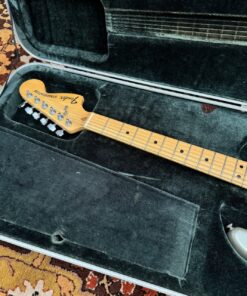 Vintage 1979 Fender Stratocaster USA 25th Anniversary Silver Guitar